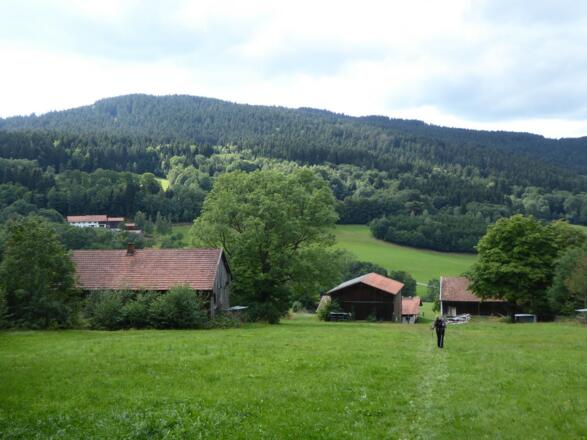 Blick auf den Pröller von Bach