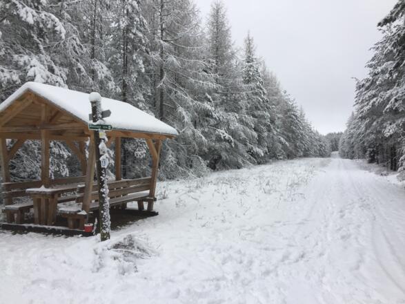 Am Grenzweg Richtung Gersbach/Weitramsdorf