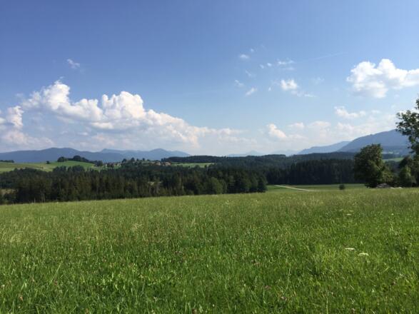 Blick von Rothenrain (steiler Anstieg)
