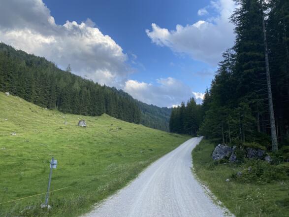 Blick über die Schapbachalm