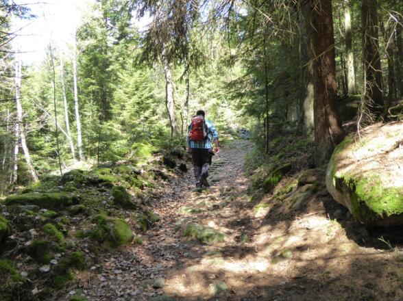 Auf den Weigelsberg hinauf