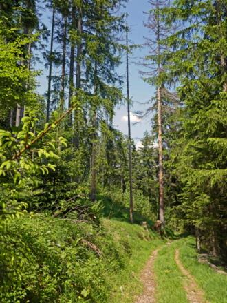 Auf dem Weg zum Hintersee