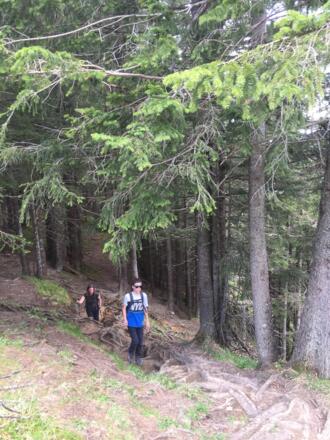 Anschließend geht es wieder über einen Waldsteig bergan