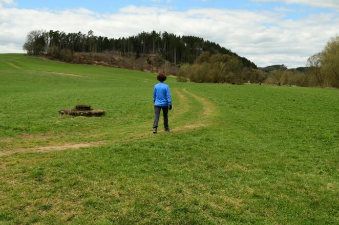 Wiesenweg zum Felsensteinerkreuz - ca. 125 m nach dem Steg scharf rechts abbiegen - ist nicht markiert!