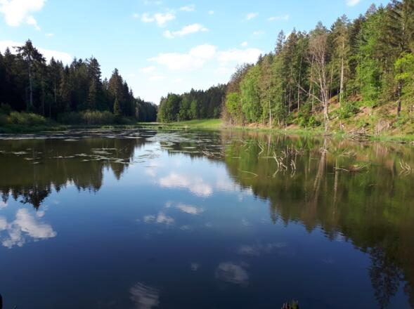 Dreiburgenseerunde (kurz)