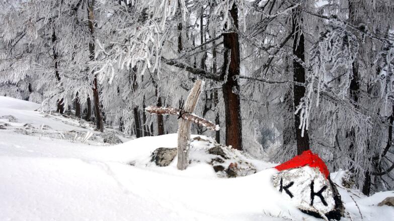 Gameringspitz 1673m mit kleinem Holzkreuz