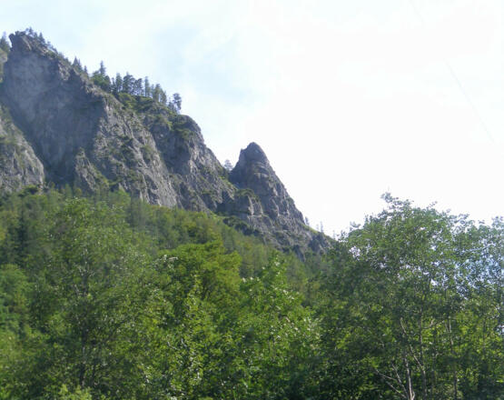 Brentköpfl