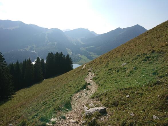 Abstieg von der Schönfeldhütte zum Spitzingsattel