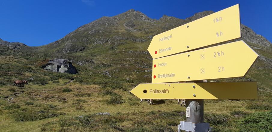 Auf der Hinweistafel feht der schwarze Punkt ( = schwieriger Bergweg) bei "Hahlkogel". Der Weg zur Pollesalm kann auch eine Abstiegsvariante sein.