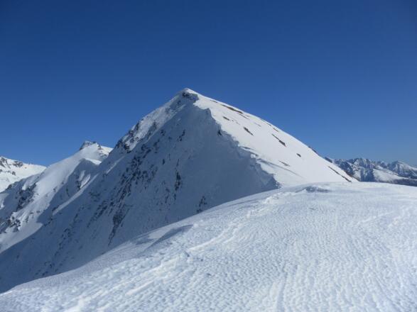 Greilkopf