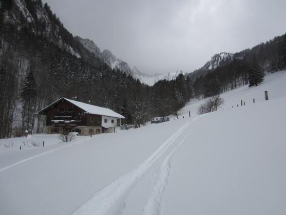 Abfahrt im Nesslauer Graben auf freien Hängen neben der Forststraße