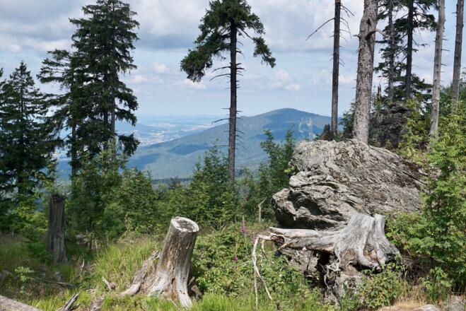 Blick zum Riedelstein und Bad Kötzting