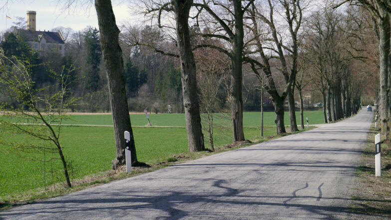 Wellenburger Allee und Schloss Wellenburg