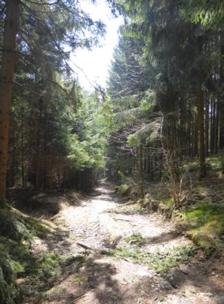 Aufstieg nach Münchszell