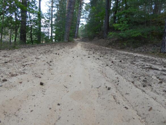 sehr sandige Wege :-)