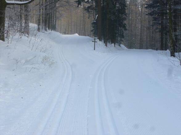 Zusammentreffen mit der Serpentinen-Loipe beim Schuhfleck