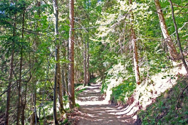 Auf dem Soleleitungsweg