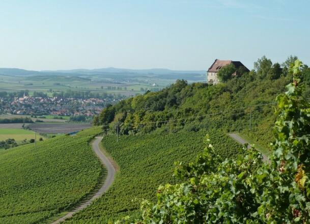 Burg Hoheneck
