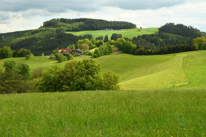 Sanfte Hügeln in der Umgebung von Marreith