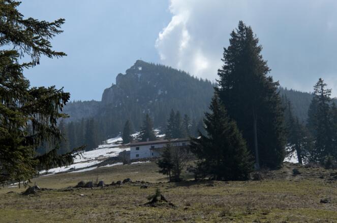 Blick über die Bucheralm auf den Breitenstein