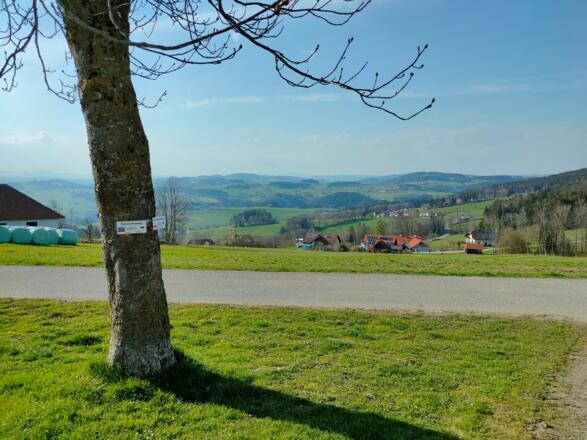Tolles Panorama