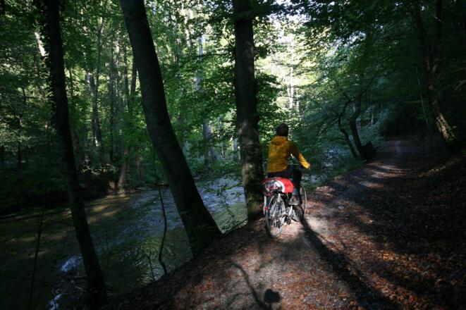 Zwischen Leutstetten und Gauting führt der Waldweg direkt an der Würm entlang.