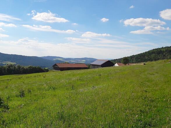 Aussicht beim Weidenhof zum Himmelberg und nach Kasperszell und Birnbrunn (über Scheunendach)