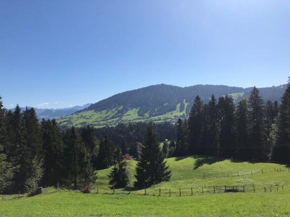 Blick von Oberbildstein zum Brüggelekopf
