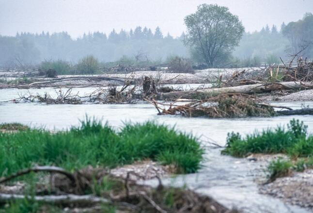 Im Bereich des Zusammenffluss von Loisach und Isar