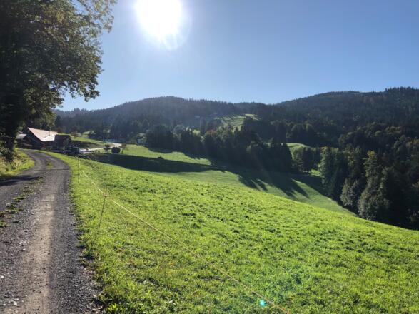 Blick von Amenegg zum Bödele