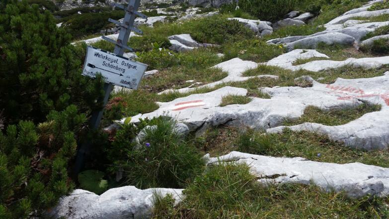 Kreuzung zum Schönberg/Wildenkogel