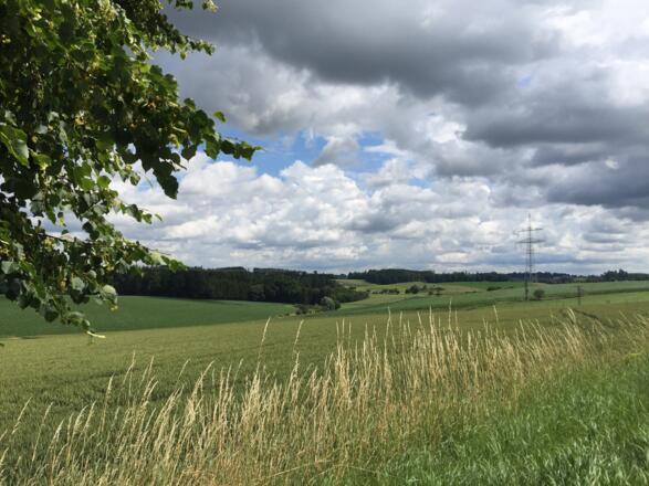 Plixenried - Röckersberg