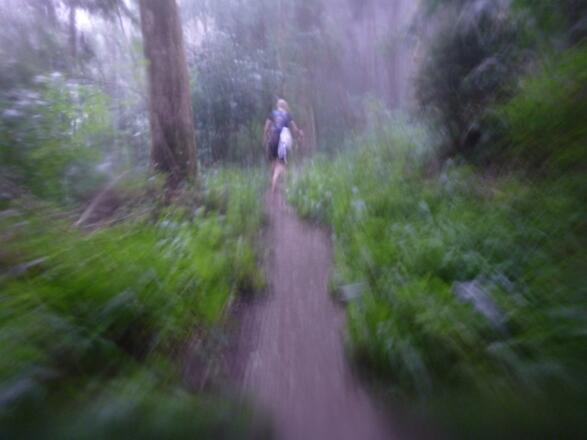 Auch bei Regen ein genialer Trail
