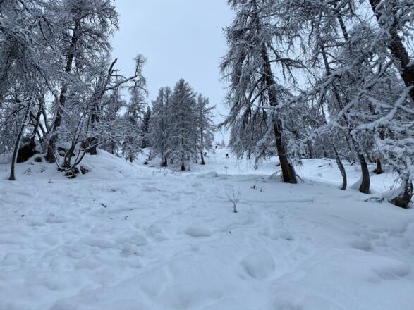 Im oberen Teil der Tour im steileren Waldstück