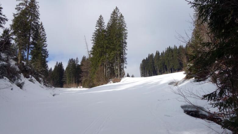 Gameringabfahrt, Jagastand ~1100m