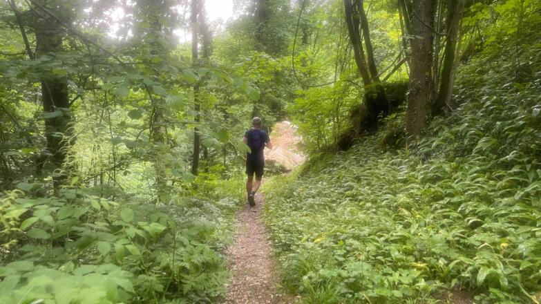 Bahnhof Ternberg - Herndleck Trail
