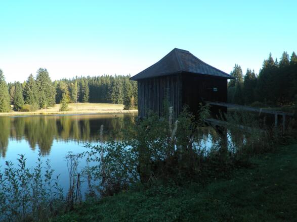 Rosenhofer Teich