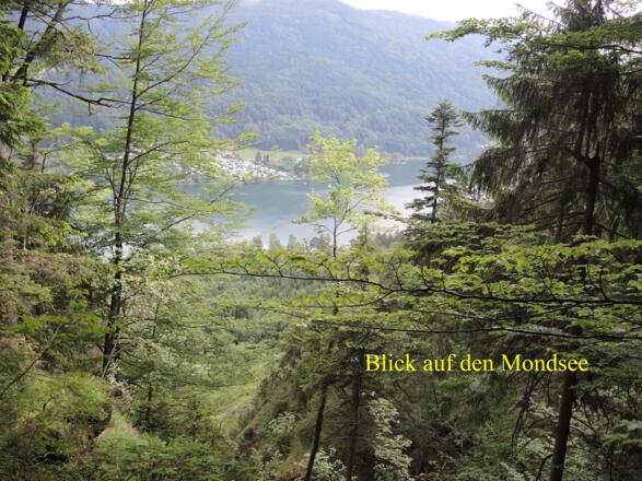 Blick auf den Mondsee