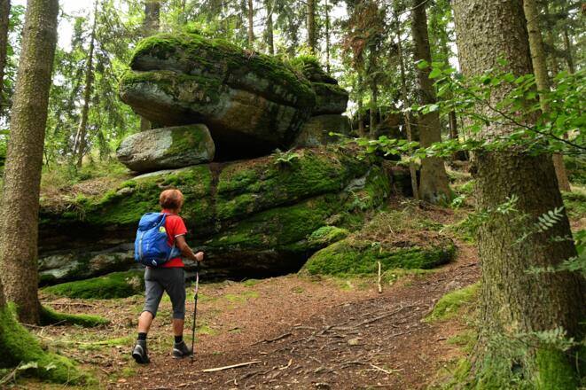 Von der Stoaninger Alm zum Herrgottsitz