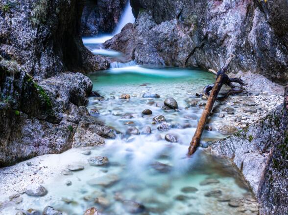 Treibholz in der Klamm.