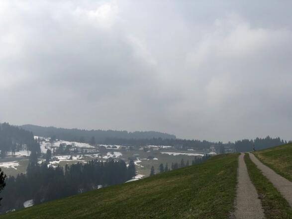 Blick zum Bödele