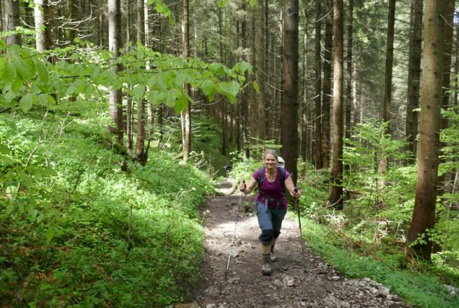 Der Anstieg zur Einsattelung am Kofel verläuft schattig durch den Wald.