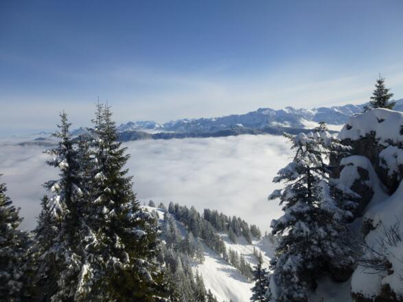 Blick auf die Allgäuer und Ammergauer Alpen