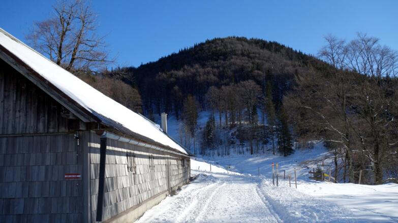 Brettmaisalm 1055m mit Hochbuchberg