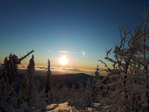 Sonnenaufgang am Lusen