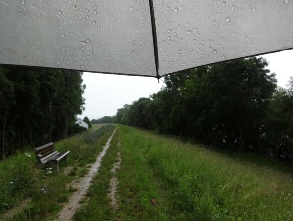 Im Regen am Donaudamm druch die Vogelau