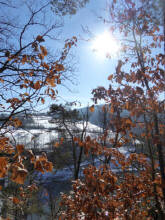 Die Sonne scheint bei Hillstett