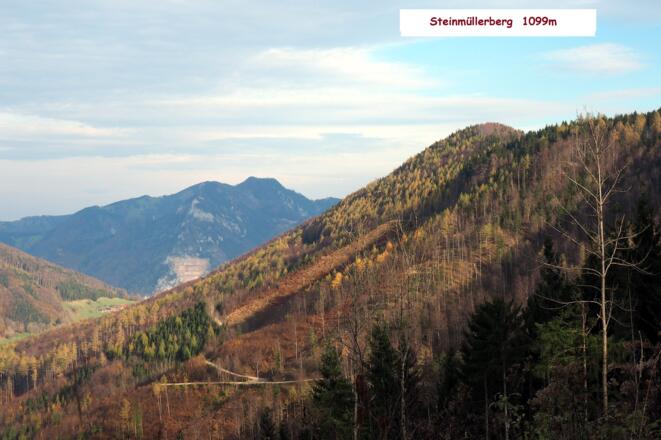 Rückblick Steinmüllerberg 1097m