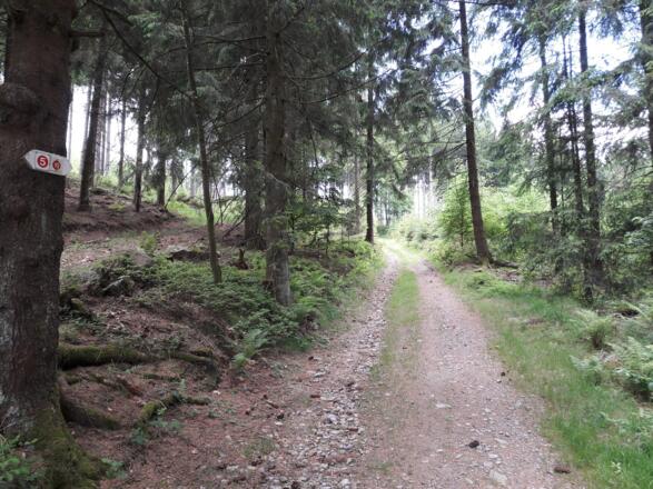 Hohlweg nach Maibrunn