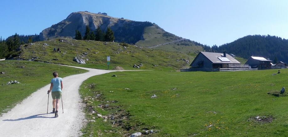 Schafberg von der Schafbergalm